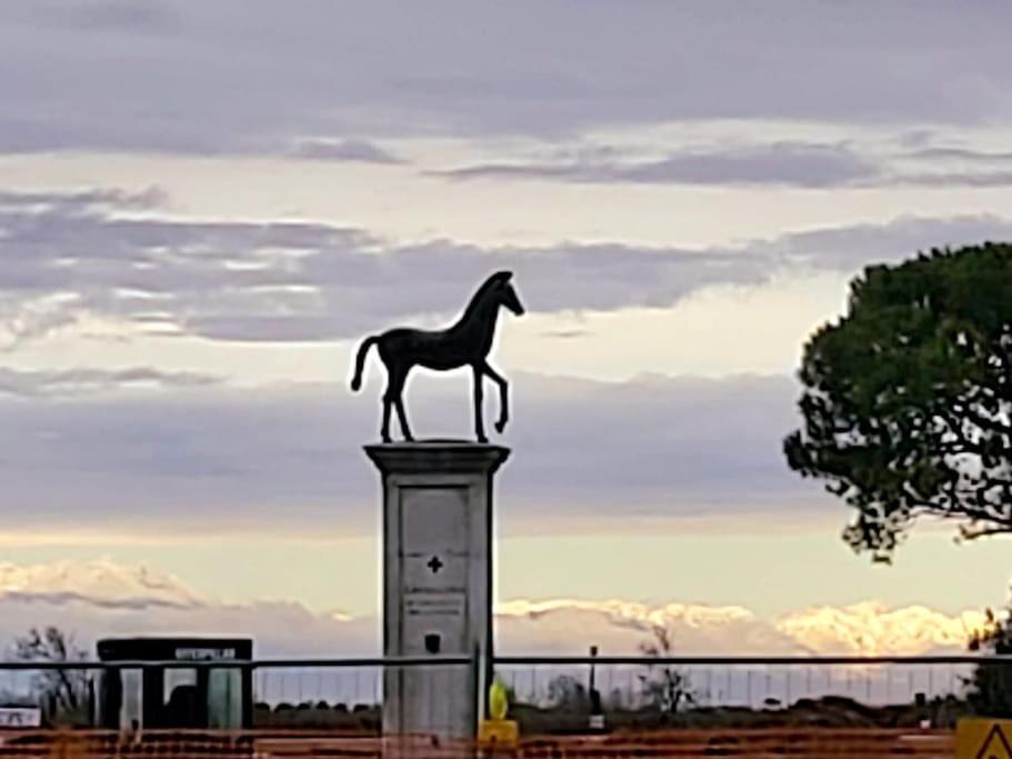 Appartamento Con Vista A Cavallino Venezia エクステリア 写真